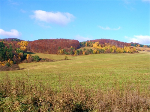 Šarišská vrchovina