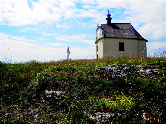 Sivá Brada