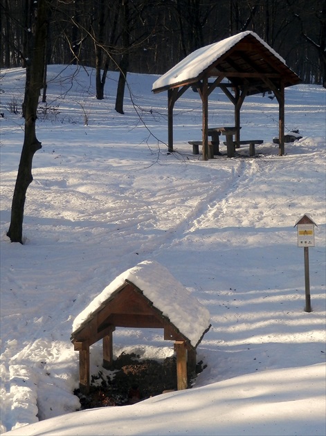 Striežky pod snehom