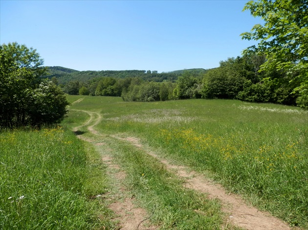 Poľná cesta