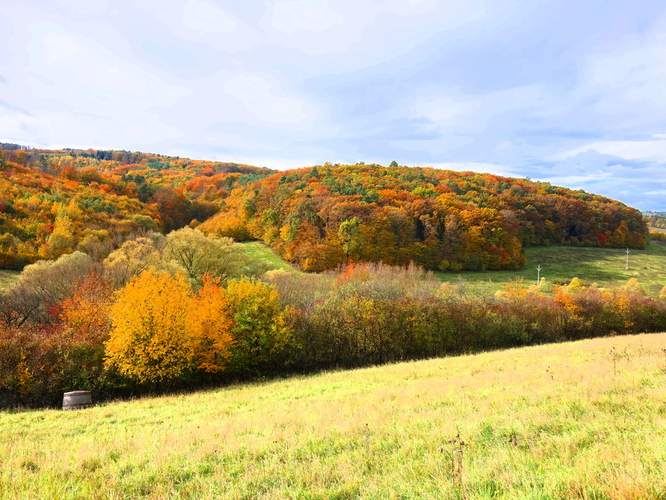 Šarišská vrchovina