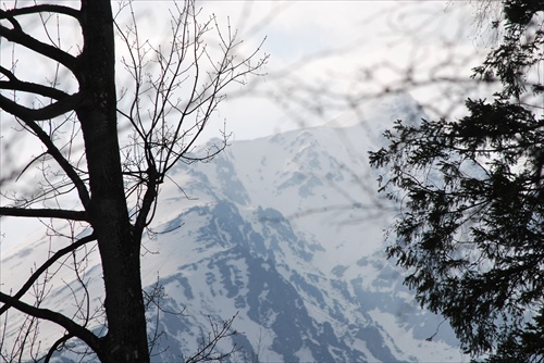 tatra tatry