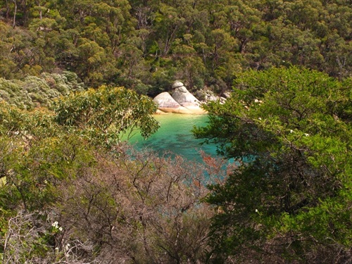 Refuge cove