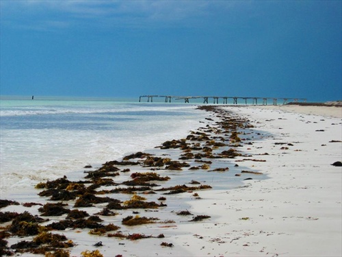 Old Jetty