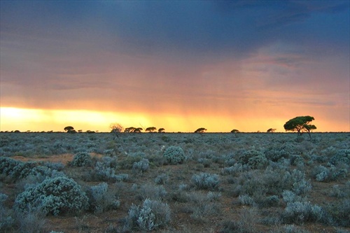 Nulalbor plain