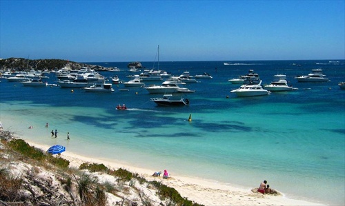 Blue scale at Rottnest