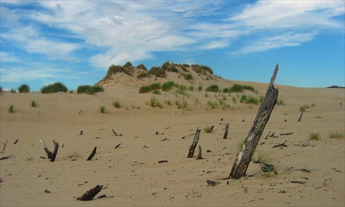 Henty Dunes