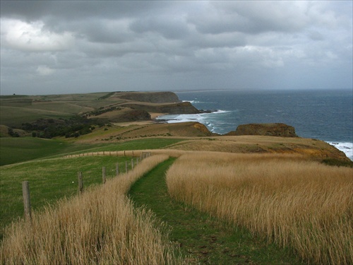 Kilcunda Walk