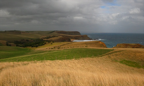 Kilcunda Walk II