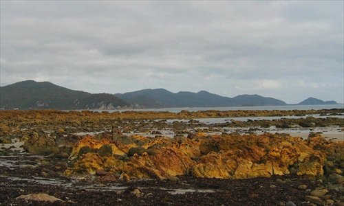 Rocky Cape National Park