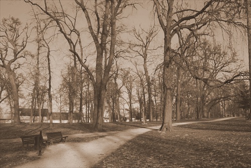 Zámocký park v MA