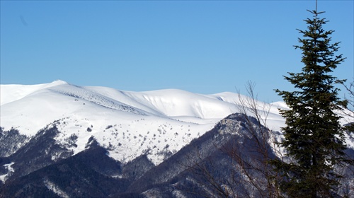 Krizna a Liska