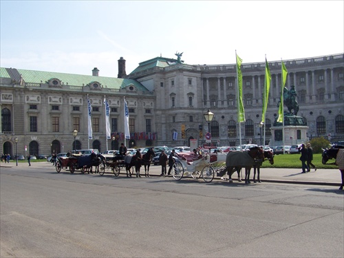 Konsky zaprah vo Viedni