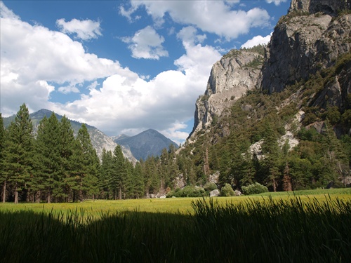 Kings Canyon National Park