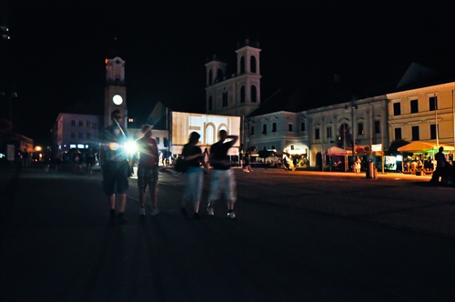 Bažant kinematograf 2011