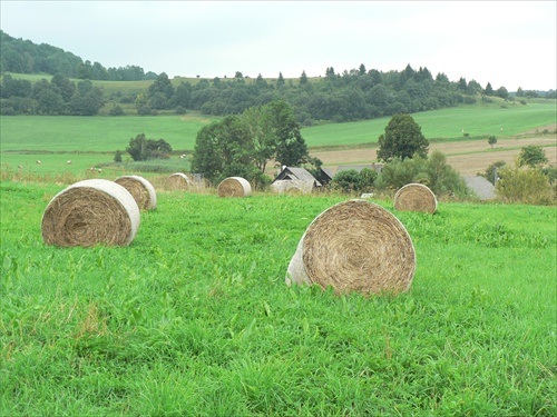 Čičmianske polia