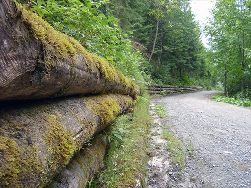 Bielovodská dolina (V.Tatry)