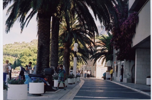 Podgora