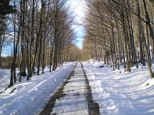 cesta na Kalamárku