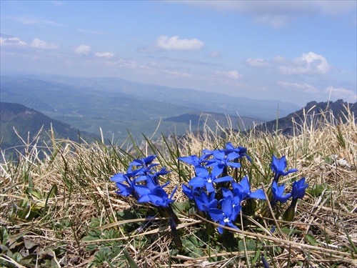 Ozdoba malofatranského hrebeňa - horec