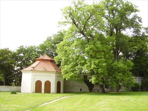 Park v Benátkach n.Jiz.