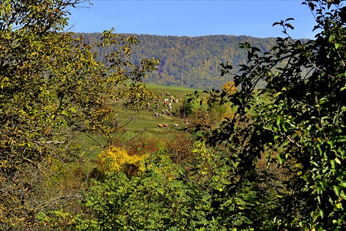 Pohľad z okna.