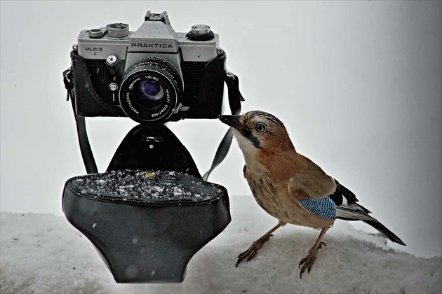 Nádejná fotografka