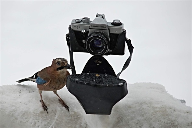 Nádejná fotografka 2