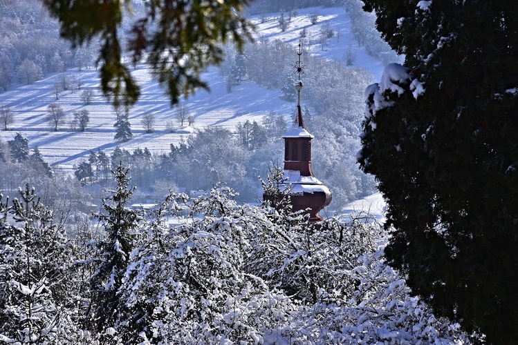 Veža