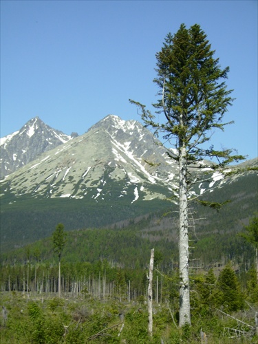 Tatry