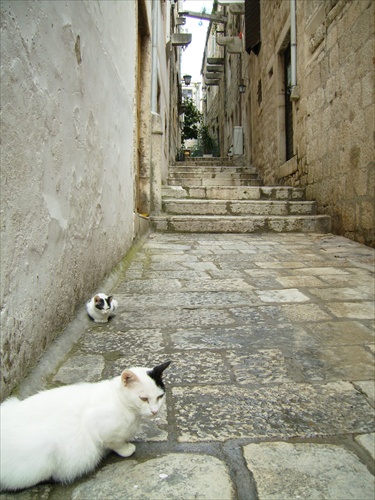 Úzka ulička na ostrove Korčuľa