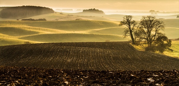 vankúšiky