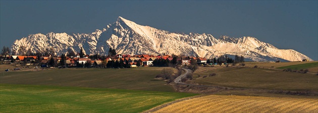 Veterná poruba