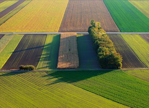 Poľná skladačka