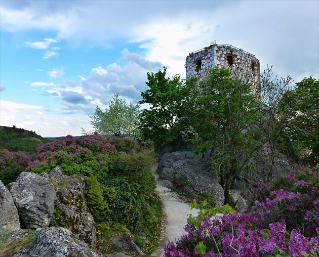 Kozí hrádek - Mikulov