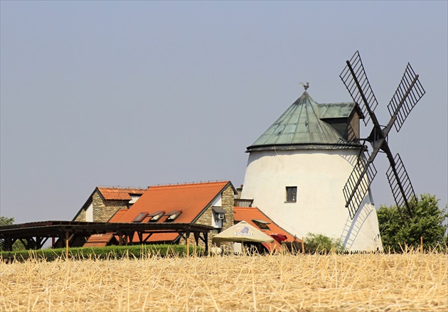 Lesná mlyn