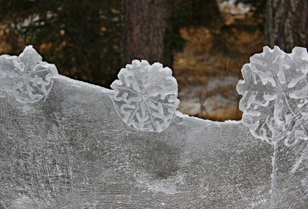 TATRY ICE MASTER 2016