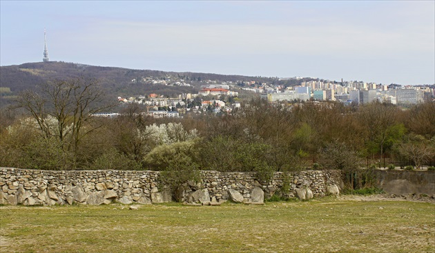 ZOO Bratislava - pohľad z výbehu nosorožcov