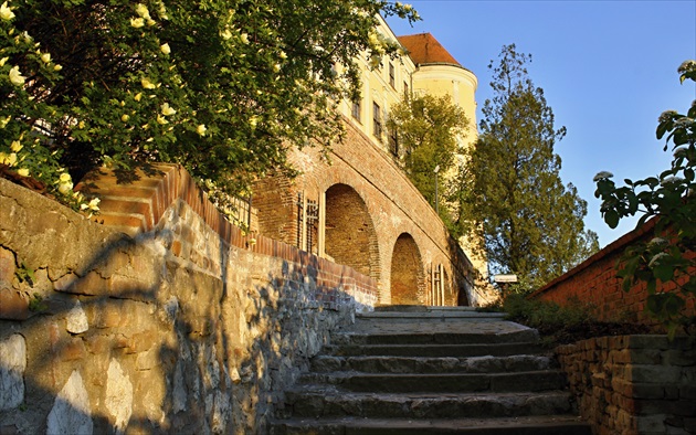 v zajatí ruží na Mikulovskom zámku