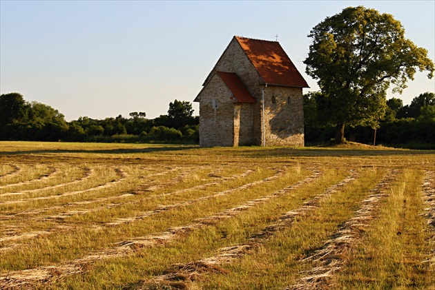 letná Margitka