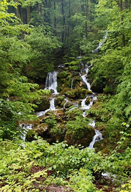 Medvedia tiesňava