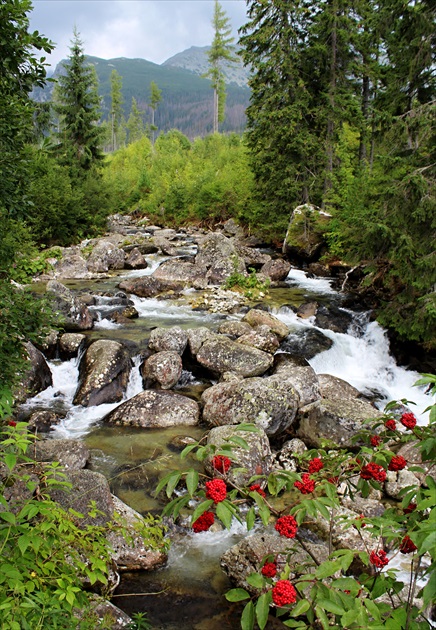 Tatry krásne, Tatry naše