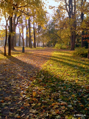 posledné lúče jesenného slnka...