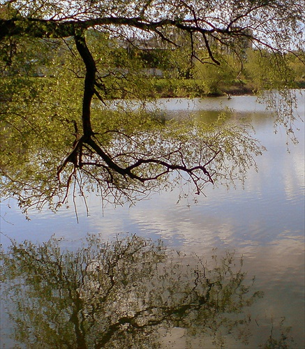 jarné prebúdzanie