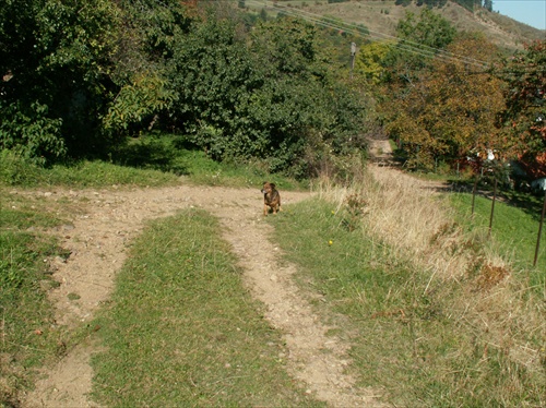 na prechádzke