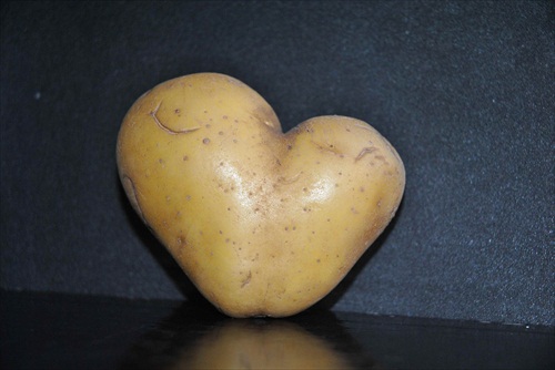 Zamilovaný zemiak