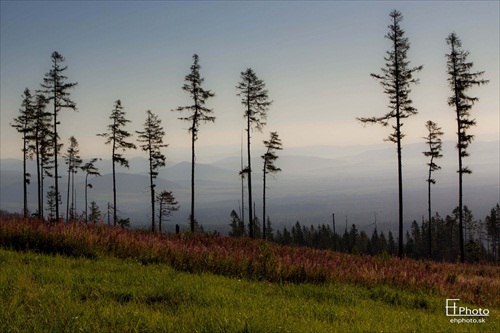 Tatry