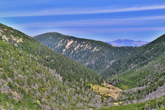 Jánska dolina, Nízke Tatry