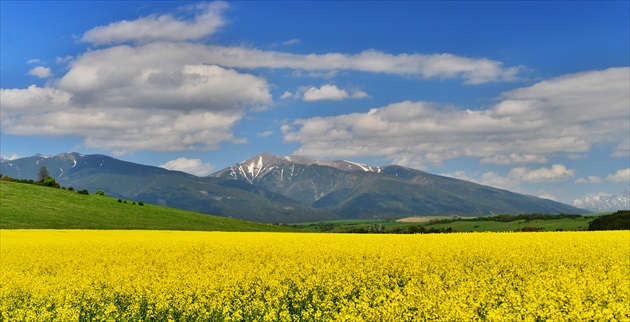 Západné Tatry