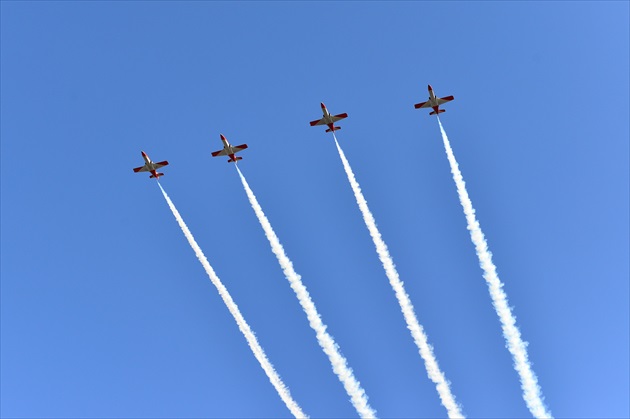 Patrulla Aguila